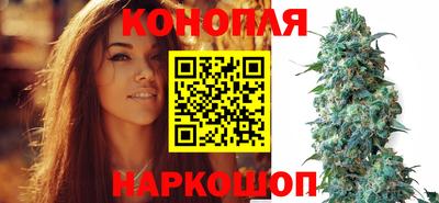 spice Бузулук