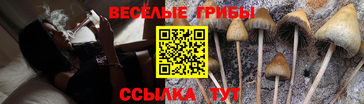 Оренбург  Галлюциногенные грибы мицелий  Вход с VPN 