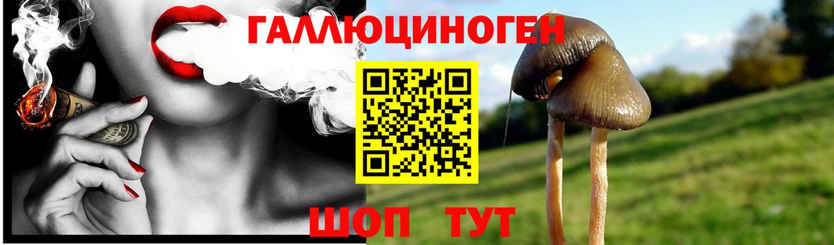 Галлюциногенные грибы Cubensis Оренбург